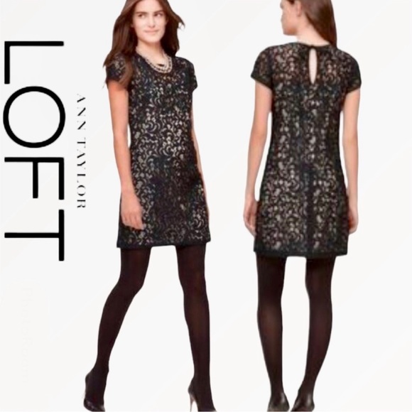 Ann Taylor Loft Black Lace Dress - Picture 1 of 7